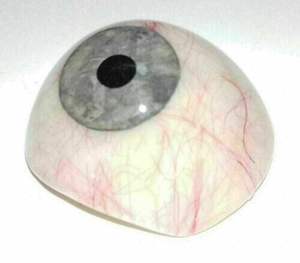 MEJOR CALIDAD SS Fabricación Gris Personalizado OEM Soporte Realista Par de prótesis natural de ojo artificial para humanos - Product Image 5