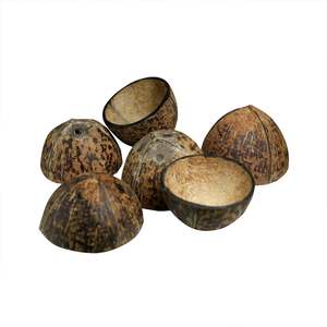 Bols en coquille de noix de coco brute ovale, biologiques et écologiques |   Bol à manger artisanal naturel |   Vaisselle durable en gros - Product Image 6