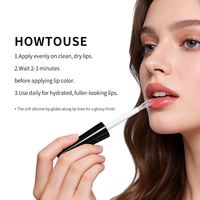 Gloss à lèvres volumateur personnalisé Max Lip Filler, végan, acide hyaluronique liquide, huile éclaircissante, marque privée, volumateur de lèvres hydratant