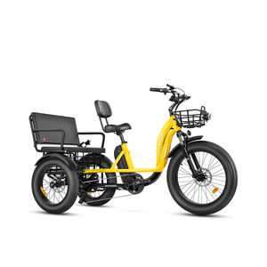 Tricycle à passagers en gros avec moteur électrique puissant, prêt pour les acheteurs en gros avec une valeur commerciale compétitive - Product Image 3