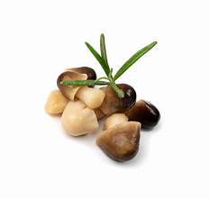 SETA DE PAJA SALADA SIMPLE/TIERRA COSECHADA/ELECCIÓN DE ALIMENTOS LIMPIOS - Product Image 2