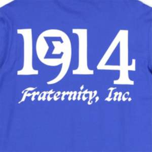 T-shirt à manches longues PBS-bleu royal | Chemise Phi Beta Sigma 100% coton avec broderie et graphiques imprimés | Vêtements de fraternité pour hommes - Product Image 6