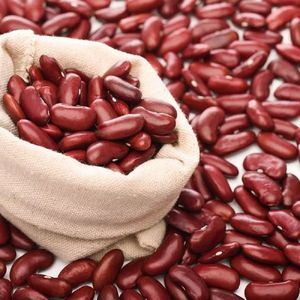 Wholesale Dried <b>Red</b> Kidney Beans - Product Image 2