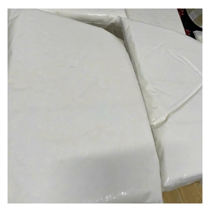 Lait de coco congelé IQF du Vietnam 28% liquide gras goût naturel pour les aliments végétaliens Smoothies au café au curry et exportation en vrac - Product Image 5