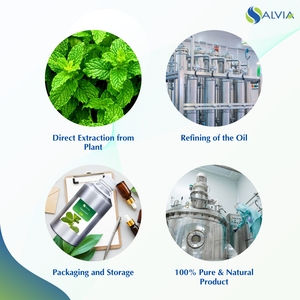 น้ำมันหอมระเหยเปปเปอร์มินท์จากธรรมชาติบริสุทธิ์แบบ100% น้ำมันสกัดเย็นจากอินเดีย - Product Image 4