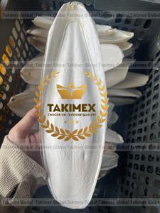 Hueso de Sepia Seco Blanco Natural Disponible a un Precio Accesible - Product Image 6