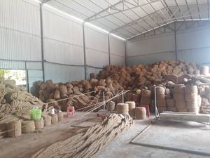 Matériel de tapis de fibre de coco de noix de coco/tapis de Coco pour le pavage de route/rouleau de fibre de tapis de coco de noix de coco 100% - Product Image 2