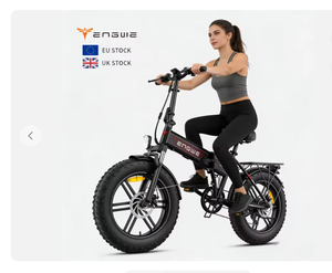 Vélo électrique de montagne et de route EU UK 250w 48v13ah certifié CE, vélo électrique pliable à pneus larges de 20 pouces pour adultes - Product Image 1