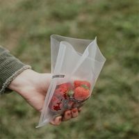 Sac mélangeur stérile tout usage avec filtre et protection contre l'arrachement sans système de fermeture, sécurité alimentaire, fournitures de laboratoire _ SCTO7012A