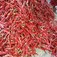 Offre Exceptionnelle Meilleur Prix Sanam S4 Assaisonnement Épicé de Haute Qualité Piment Séché Pur Naturel Inde Grade Supérieur Radiance Global