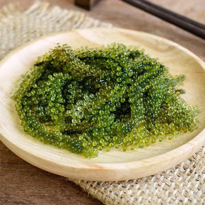 Algas Marinas DREID SEA GRAPES/ en el Mercado de Canadá  Liam +84 865912655 - Product Image 3