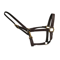 Harnais de nez à boucle réglable en nylon/spandex, design personnalisable, ajustement confortable pour l'équitation