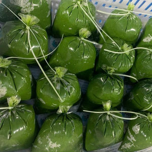 Handpicked High Quality Frozen <b>Cassava</b> Leaf Naturally Preserved for <b>Freshness</b> and International Distribution - Product Image 1