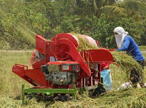 Máquina Trilladora de Arroz Motorizada de Alta Eficiencia para Uso Agrícola con Estructura Duradera, Bajo Consumo de Energía y Larga Vida Útil - Product Image 2