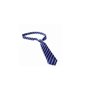 School Uniform Business Men 100% Silk Neck Ties With Logo Handmade Designer Blue White Tie For Low Price Custom Men Ties