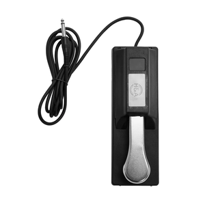 (EF) PA300 คีย์บอร์ด 61 คีย์ ระดับมืออาชีพ, เสียงมากกว่า 950 แบบ, อินเทอร์เฟซ USB-MIDI, - ชุดพร้อม KPK6520 สำหรับใช้งานบนเวที - Product Image 4