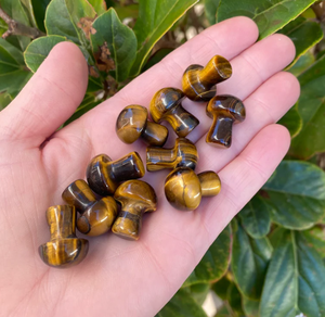 Seta de ojo de Tigre a granel, piedras preciosas, setas, cristal de cuarzo tallado, espécimen Mineral, decoración del hogar, entusiastas del cristal a la venta - Product Image 3