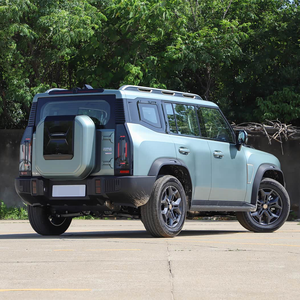Nuevo SUV Todoterreno 4x4 2025, Motor Turbo 2.0, Caja de Cambios Automática DCT, 5 Plazas, Vehículo de Gasolina, Volante a la Izquierda, Autonomía de 601-700 km - Product Image 6