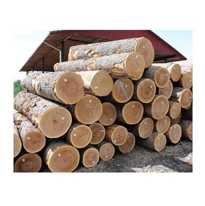 Straight Grain Oak Round <b>Logs</b> White Oak and Red Oak Timber for Lumber and Joinery Industry - Product Image 6