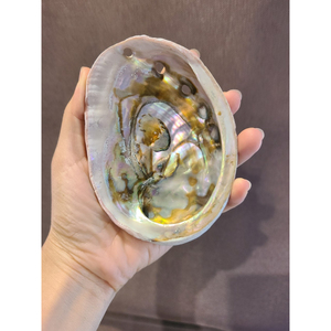 NATURAL POLISHED ABALONE SHELL WHOLE SALE <b>RAINBOW</b> <b>LIGHT</b> SAGE SMUDGING REPTILE FOOD BOWL DECORATION GIFTS AMELIA +84855014447 - Product Image 5