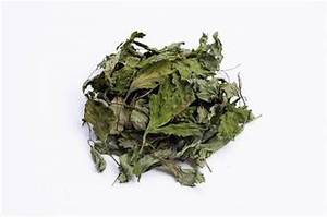 Hojas secas de artemisa de alta calidad para soporte de infusión de hierbas medicinales tradicionales - Product Image 4