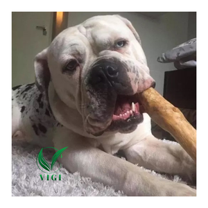 แท่งไม้กาแฟทนทานสำหรับดูแลฟันสุนัข - Product Image 4