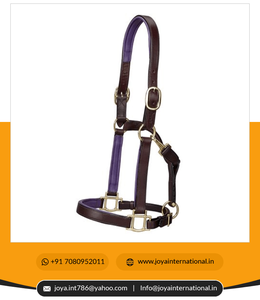 Prix de gros Produits équestres de haute qualité Conception personnalisée Halters Bright Rembourré Halter pliable léger pliable - Product Image 5