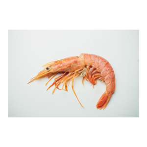 Crevettes rouges surgelées disponibles pour les industries de transformation et d'emballage alimentaires - Product Image 5