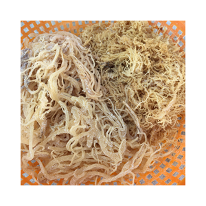 COUTEAU NATUREL IRLANDAIS-OR EN GROS BIO EN VRAC FABRIQUÉ DANS LE PAYSAGE-SÉCHÉ AU SOLEIL // AUTHENTIQUE DU VIETNAM 99GD EN GROS - Product Image 1