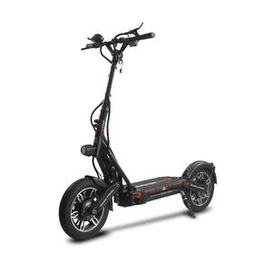 Livraison gratuite Duaaltronns Cityy Electriccs Scooterrs (GEN2) Motorr 3984W BLDC Duaal-Huub - Product Image 3