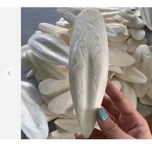 Os de seiche séché 100% naturel de haute qualité - Product Image 1