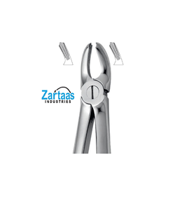 Fórceps de extracción de acero inoxidable de alta calidad incisivos superiores para niños Fig. 39A exportadores y fabricante - Product Image 6