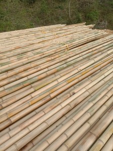 Bambú crudo ecológico vietnamita para exteriores e interiores, producto agrícola de Arquitectura de paisaje natural - Product Image 3