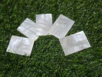 Vintage Mother of Pearl Guitar Nut & Saddles Ready to Ship Stringed Instrument Parts & Accessories Including Picks Blank Style