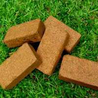 Cocopeat biologique comprimé de tourbe de coco naturelle pour le jardinage Emballage personnalisé pour pots de jardin et jardinières du sud de l'Inde