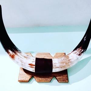 Cuerno de búfalo genuino de alta calidad montado en una base de madera resistente para obras artísticas o decoración de mesa de oficina única - Product Image 4
