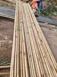 Estacas de Bambú Seco Duraderas para Viñedos, Agricultura, Soporte para Plantas de Tomate, Ecológicas y Naturales - Product Image 5