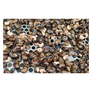 Vente en gros de coquille de noix de cajou stock en vrac premium grade expédition rapide fournisseur fiable - Product Image 1