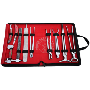 Kit de Herramientas de Herrador de Alta Resistencia, Juego de Alicates, Pinzas para Cascos, Espaciador de Cascos, Cortador de Cascos, Lima, Cuchillo Curvo para Cascos, Pulidor de Doble Cara - Product Image 2