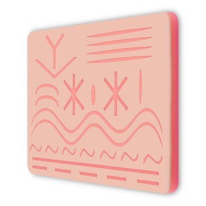 Herramientas de enseñanza de anatomía médica duraderas al por mayor, almohadillas de práctica de sutura para estudiantes de medicina, certificado CE, aprobado por ISO - Product Image 5
