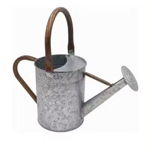 Lata de agua plateada Diseño moderno Regadera de plantas de forma personalizada para uso en jardín a bajo precio por Indian Metal World - Product Image 6