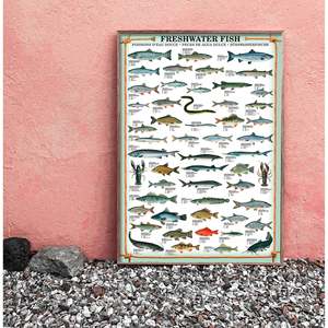 Impresión artística de peces de agua dulce, accesorios de pesca - Product Image 1
