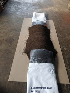 Haute Qualité Unique Spices-500GL 550GL 600GL 5MM Graine De Poivre Noir Séché Cru Poivre Noir Nettoyé/FAQ/ASTA BOLD Vietnam - ANNA DO - Product Image 2