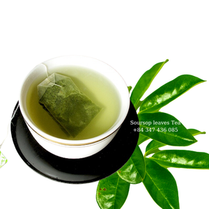 Té Negro Fermentado con Hojas de Guanábana Secas, Té Orgánico Saludable para Infusión con Agua Caliente, Sin Azúcar, 50gr, Bolsitas de Té, Empaque en Caja, Grado A - Product Image 2