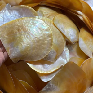 เปลือกหอยมุกขัดเงา | วัสดุเปลือกหอยธรรมชาติสำหรับทำเครื่องประดับและตกแต่งบ้าน - Product Image 6