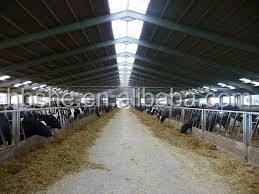 Estructura de Acero Abierta y Resistente para Granjas Avícolas, Caprinas, Lecheras y Ganaderas - Product Image 6