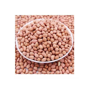 Cacahuetes Premium al por mayor, precio asequible, frescos y a granel - Product Image 6