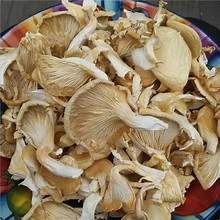 PURE <b>DRIED</b> OYSTER MUSHROOM IMMUNE BOOSTING INGREDIENT <b>PLANT</b> BASED WHOLE FOOD - Product Image 4