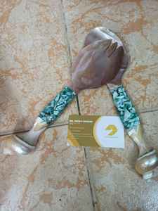 Cuchara de Nácar Pulida, Estilo Artesanal, Venta al por Mayor, Exportación a Gran Volumen, Apta para Proveedores de Accesorios de Cocina - Product Image 4