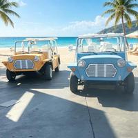 Nouvelle voiture électrique Moke à batterie lithium Rainbow, 4 places, châssis tout aluminium, certifiée EEC/DOT, autonomie de 200 km, vitesse de 70 km/h